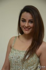 Seerat Kapoor New Photos